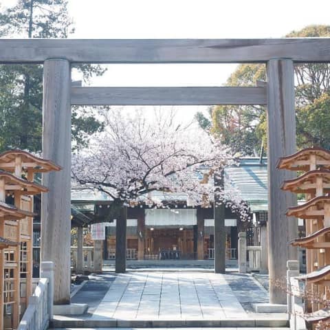 創建150年「横濱総鎮守」【伊勢山皇大神宮での神前式】和婚プラン
