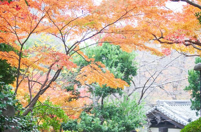 東京で唯一無二の結婚式を┃グランドプリンスホテル高輪 貴賓館 ー東京・品川