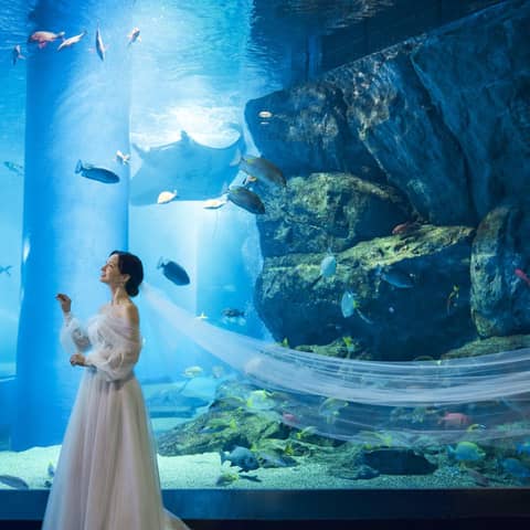 【朝の水族館を貸し切り♪】アクアリウム ウエディングセレモニー