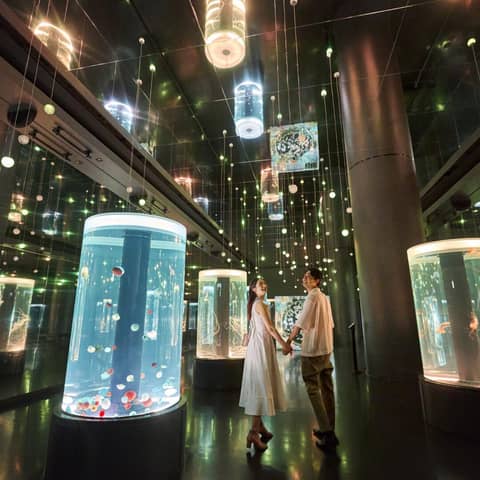 【イルカもゲストも祝福★】ハートフルドルフィンウエディングセレモニー