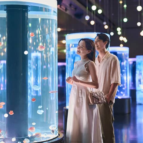 海の世界で叶える水族館フォト&会食プラン