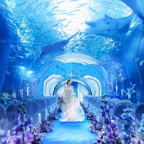 【公式】品川プリンスホテル ウエディング│品川駅徒歩2分の結婚式場