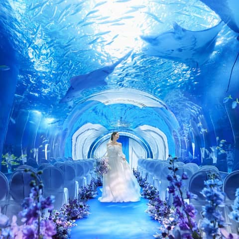 【公式】品川プリンスホテル ウエディング│品川駅徒歩2分の結婚式場