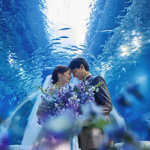 海の世界で叶える水族館フォト&会食プラン