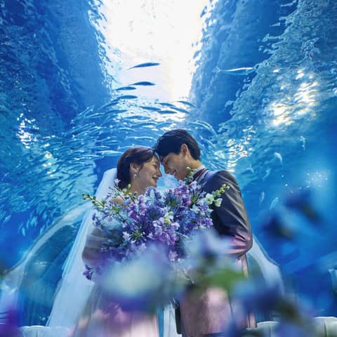 大人気シーズンがお得に◆26年4月~6月限定【40名70万円特典付き】