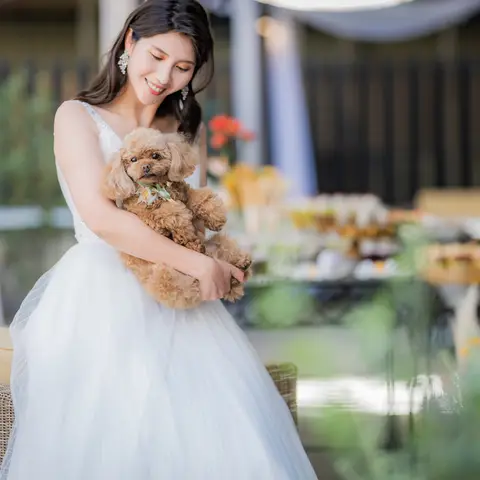 ベルセゾン|志木の結婚式場【公式】緑と光のガーデンチャペルで叶える貸切ウェディング