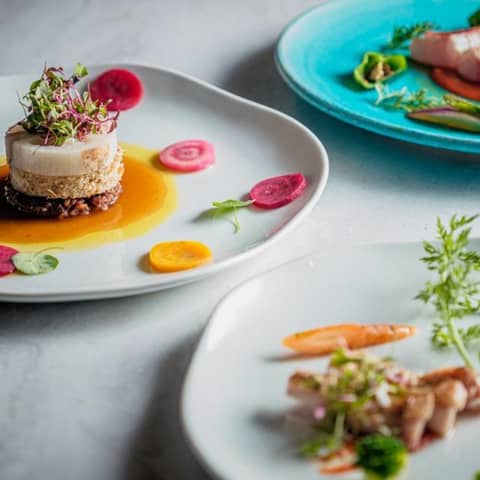 【マタニティウェディング】最大120万円相当の特典つき!