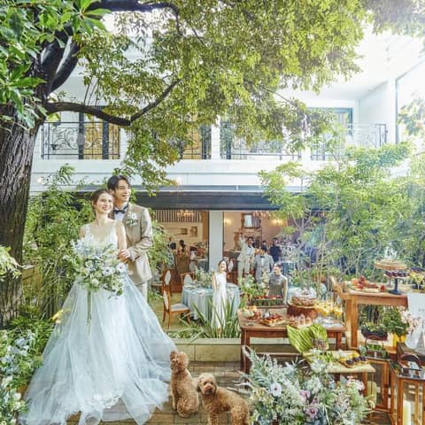 【少人数・挙式会食】お得なパックプラン!27年7月まで