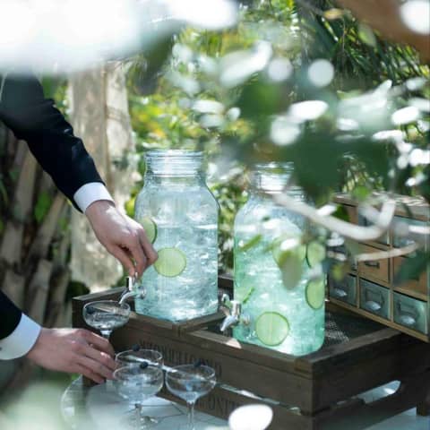 <スプリングプラン>27年4~5月限定!60名197万円【ご優待付き】