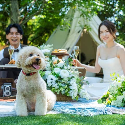 【公式】ザ・ロイヤルクラシック姫路 ❘ 兵庫 姫路の結婚式場