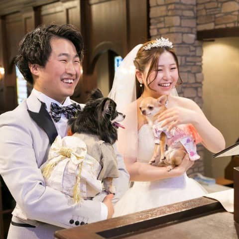 ペットと一緒にフォトプラン
