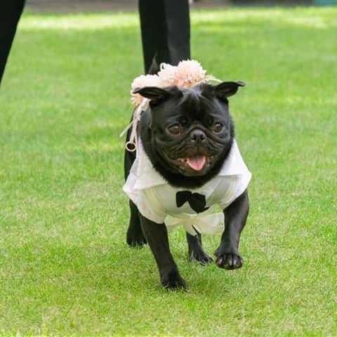 【公式】神戸北野サッスーン邸│神戸北野 異人館貸切ウェディング