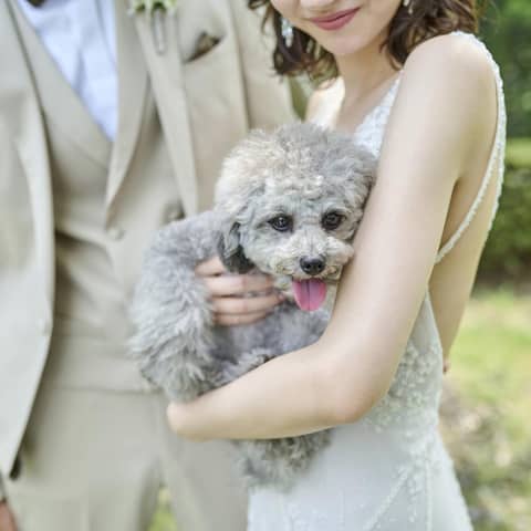 NEEDS横浜元町 by T&G WEDDING(旧 山手迎賓館 横浜)