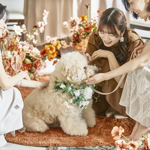 NEEDS横浜元町 by T&G WEDDING(旧 山手迎賓館 横浜)