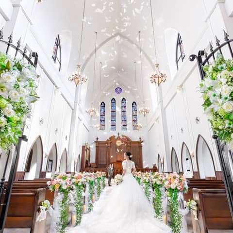 61万円相当お得!スペシャルアニバーサリー 50名様