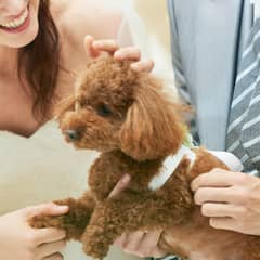 【愛犬と一緒に】ペットwedding＊挙式＆披露宴(50名155万円）