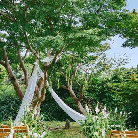 【紅葉映える絶景和婚】26年12月50名プラン◆公式HP限定特典付き