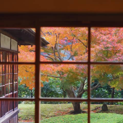 【紅葉映える絶景和婚】26年12月50名プラン◆公式HP限定特典付き