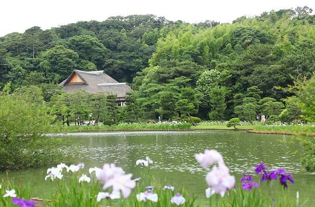 横浜市指定有形文化財 「三溪園 鶴翔閣」で結婚式/【ベストレート保証】ウエディングガーデン