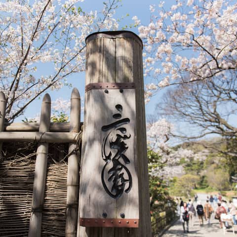 ※残僅か【20名191万 日付限定プレミアムプラン】26年3月春婚