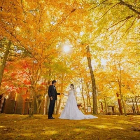 壮大な自然の中で四季を感じる*ネイチャーフォトツアー