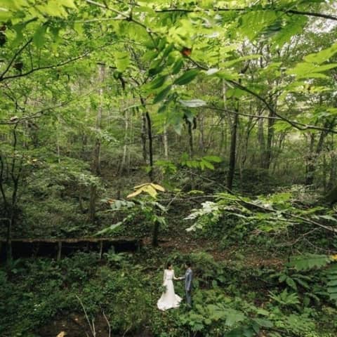 壮大な自然の中で四季を感じる*ネイチャーフォトツアー