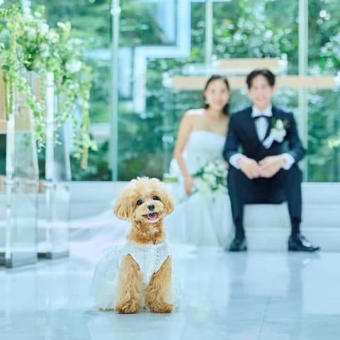 Garden Wedding at the PARK