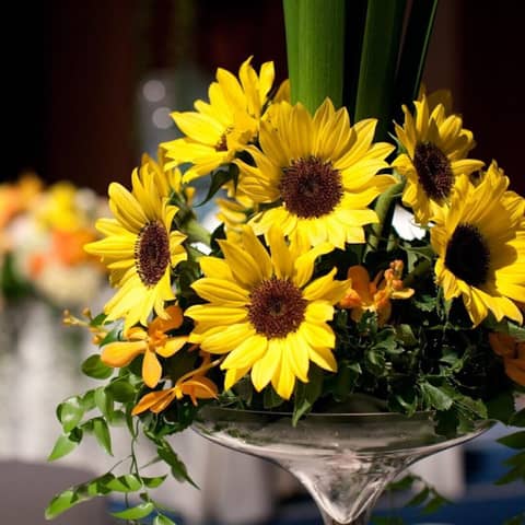 【夏プラン】2027年6~8月限定《70名398万円》