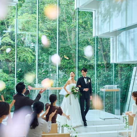 【春プラン】2027年3~5月限定《80名438万円》