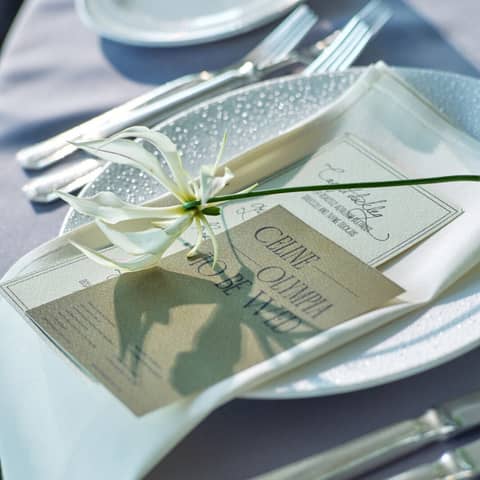 【夏プラン】2026年6~8月限定*最大42万円ご優待