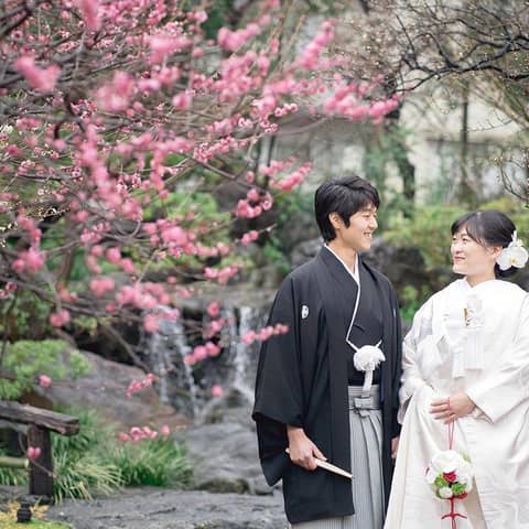 【挙式のみ】湯島天満宮で叶えるシンプル和婚