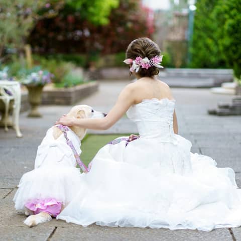 プリティチャペル大宮(エグリーズ ドゥ 葉山庵)