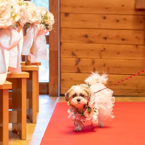 プリティチャペル大宮 セントパルク教会