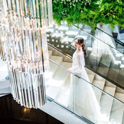 BIANCARA×CHEERS!レストランプラン