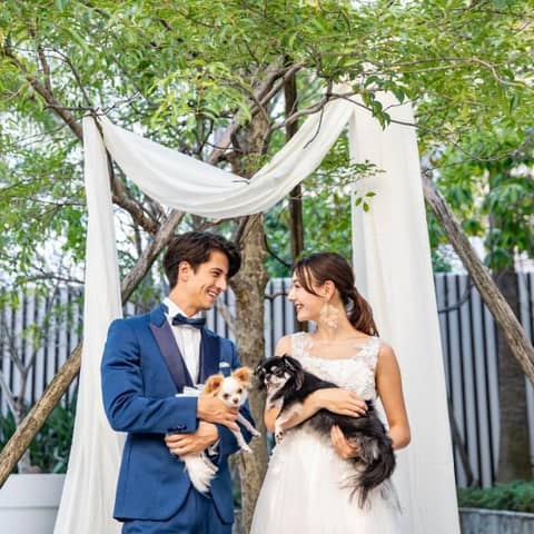 【ワンちゃんと結婚式】〈40名145万/60名171万〉ドレス2着付