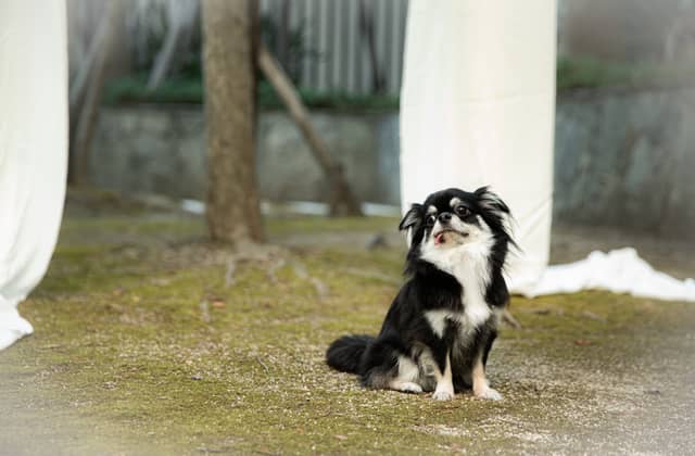 【公式】BIANCARA HILLSIDE TERRACE|ビアンカーラヒルサイドテラス