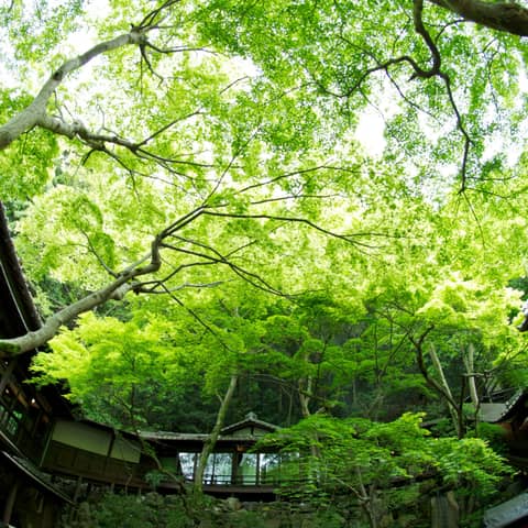 明治の森ウエディング│音羽山荘