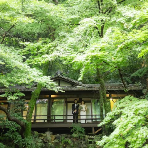 2026年春|新緑の結婚式プラン