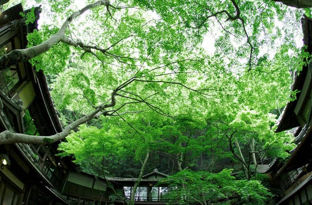 明治の森ウエディング│音羽山荘