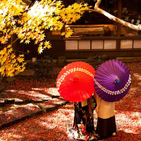 【早期お申込特典】2023年秋の結婚式/40名様
