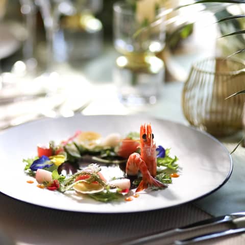 【NEW★直近プラン20名/2026年3月迄の挙式限定】豪華7大特典