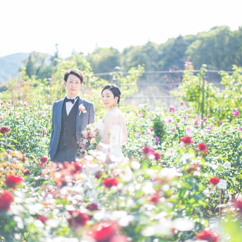【いばらきフラワーパーク×アンシャンテ】フォトウエディングプラン登場!