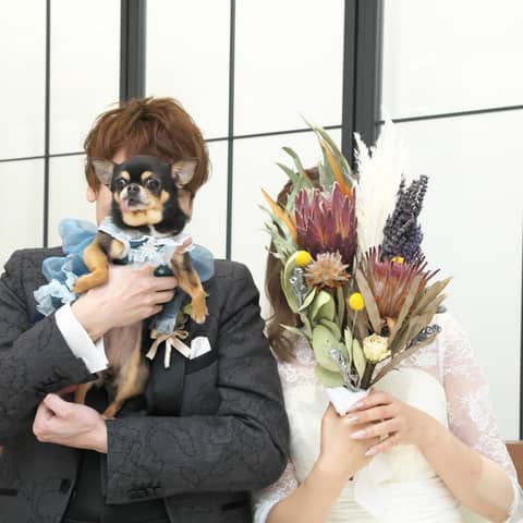 【公式】大阪・心斎橋の貸切結婚式|カーザノーブレ オ・セイリュウ