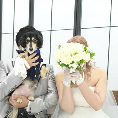 【公式】大阪・心斎橋の貸切結婚式|カーザノーブレ オ・セイリュウ