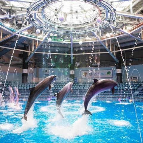 東京で唯一無二の結婚式を┃グランドプリンスホテル高輪 貴賓館 ー東京・品川