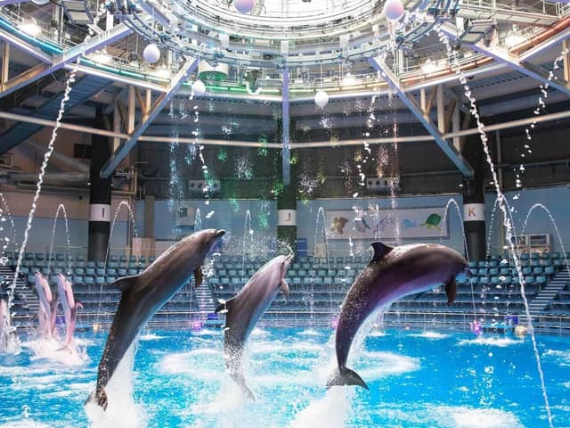 東京で唯一無二の結婚式を┃グランドプリンスホテル高輪 貴賓館 ー東京・品川