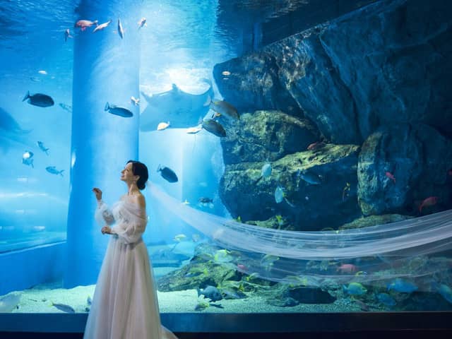 【公式】品川プリンスホテル ウエディング│品川駅徒歩2分の結婚式場