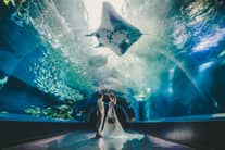 【26年3月迄の挙式ご希望の方へ】幻想的な空間で叶う＼水族館前撮り／プレゼント♪