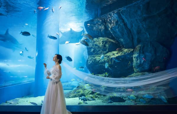 【公式】品川プリンスホテル　ウエディング│品川駅徒歩2分の結婚式場