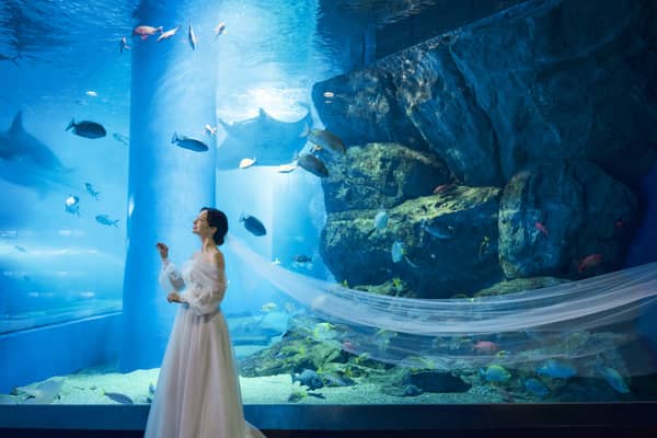 【公式】品川プリンスホテル ウエディング│品川駅徒歩2分の結婚式場